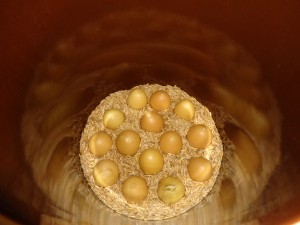 Eggs coated in bees wax stored big end down in a crock filled with oats. A common way to preserve eggs
