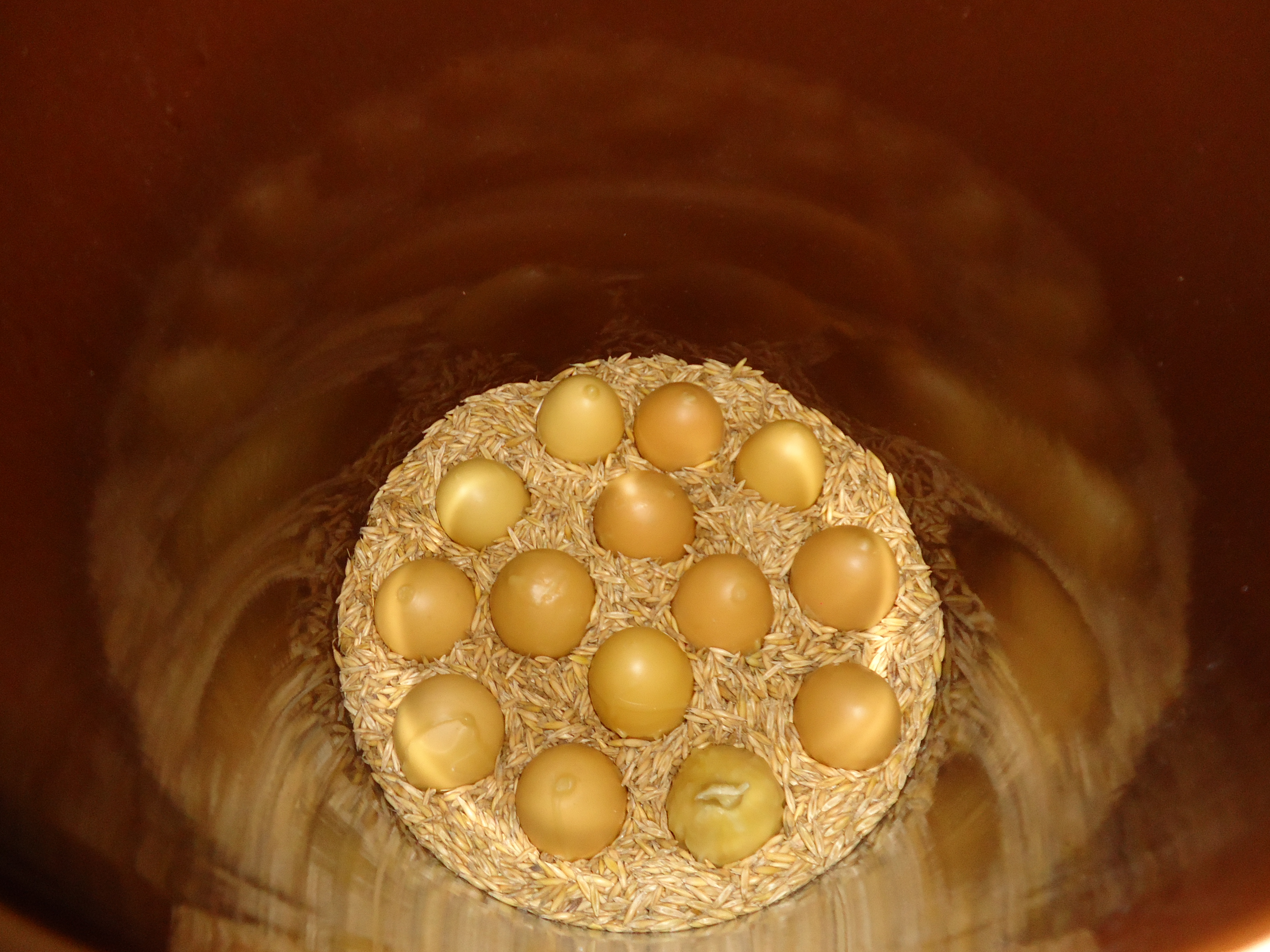 Storing and Preserving Chicken Eggs